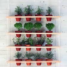 9 Diy Vertical Gardens For Better Herbs