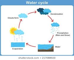 Rain Cycle Diagram Wiring Diagrams
