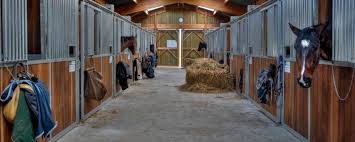 horse bedding which type is best for