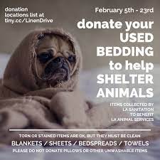 Donate Your Used Bedding To Shelter