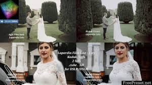 Video tutorials and stock music available. Lapardin Wedluts Romantic Wedding Luts For Ae Ps Premire Resolve And Fcp X And Etc Win Mac