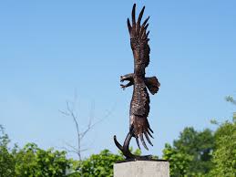 eagle in flight solid bronze fine art