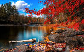 Fall Scenery Wallpapers - Top Free Fall ...