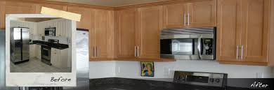 Using our hinges with our accompanying reface plate, makes installation much easier for either framed or frameless cabinets. Kitchen Cabinet Refacing Refinishing Resurfacing Kitchen Cabinets The Home Depot Home Depot Kitchen Kitchen Cabinets Refacing Kitchen Cabinets