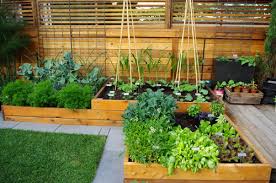 Grow A Thriving Vegetable Garden This