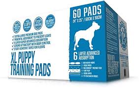 If you're going to housebreak your dog while you're at work, these in addition, they include sticky adhesive tape to prevent your dog from moving or tearing them. Bulldogology Puppy Pee Pads Xl With Adhesive Sticky Tape Extra Large Dog Training Wee Pads 24x35 6 Layers With Extra Quick Dry Bullsorbent Polymer Tech 60 Count Buy Online At Best Price