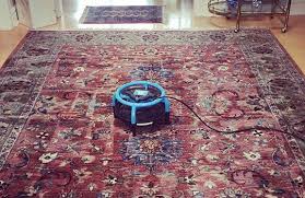 dante s luxury care carpet cleaning