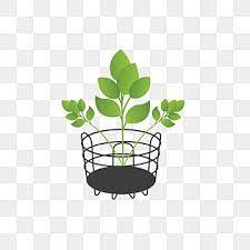 Hanging Plant Icon Png Images Vectors