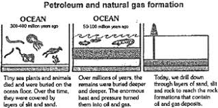 Cbse 8 Science Cbse Coal And Petroleum Notes