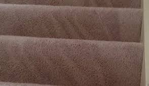 carpet cleaning springfield ma carpet