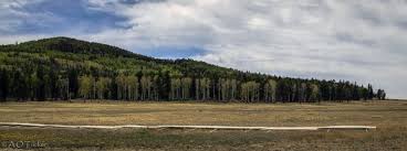 There is no boondocking, dispersed or primitive camping, or just pulling off into a parking area. Apache And Sitgreaves National Forest Arizona Highways