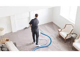 3 best carpet cleaners in ta fl