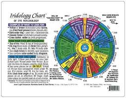 Buy Iridology Chart Of Eye Reflexology Rainbow Coded By