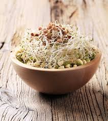 Sprouts 7 Health Benefits Nutrition Facts