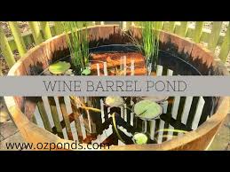 Wine Barrel Pond No Pump