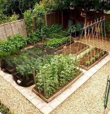 garden layout vegetable