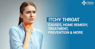 itchy throat causes home remedy