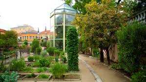 padua botanical garden tours book now