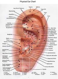 Ear Vita Flex Chart Acupressure Treatment Ear Reflexology