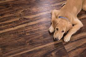 cali vinyl pet friendly flooring