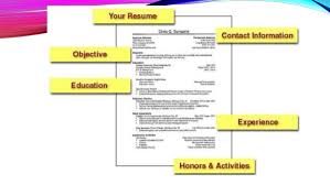 resume objective statements cartoon depicting an employer reading    great  objective statements for  elementary resume objectives corpedo  Resume  Example 