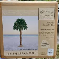 Palm Island Home 5 Ft Pre Lit Palm