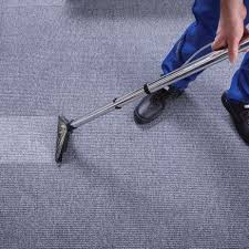 chicago area best carpet cleaning a