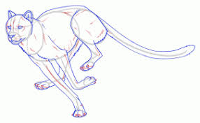 Begin drawing your cheetah by making a circle. Drawing A Cheetah Tutorial Drawings Cheetahs Guided Drawing