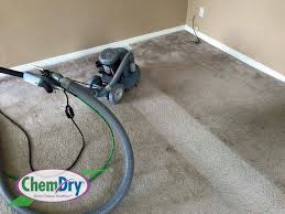 a green certified carpet cleaner