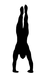 Kuvahaun tulos haulle hand standing gymnastics cartoon