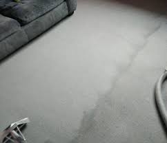 carpet cleaning service colchester