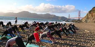 favorite yoga teacher training sf bay