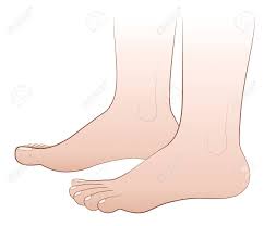 裸足 - 2 つの人間の足のイラストは白の背景にベクトルを分離します。のイラスト素材・ベクター Image 43151358