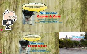 windsong cabins and tea gardens in