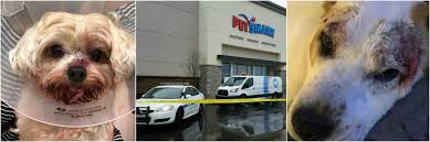 The bathing equipment will cost $160,000. Dog Dies During Nail Trim 4 Petsmart Employees Charged Peta