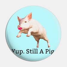 lipstick on a pig still a pig