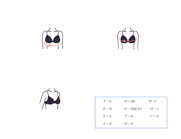 how to measure bra size bra size