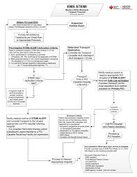 Meticulous Paramedic Patient Assessment Flow Chart Emt