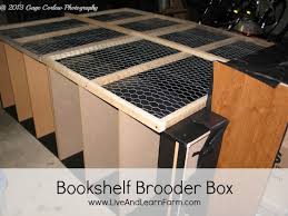 new huge brooder box live and learn farm