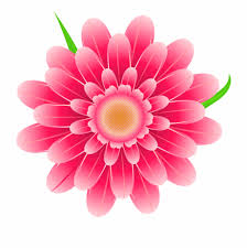 Transparent Pink Flower Clipart Png Image Pink Flowers