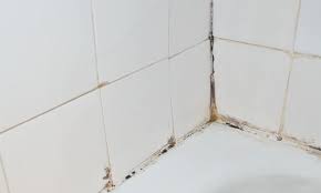 Clean Shower Tile Grout
