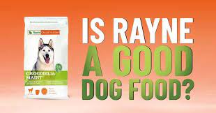 rayne nutrition dog food review dogs