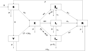 modeling the dynamics of covid 19 with