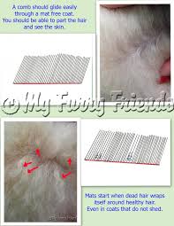 Pet Grooming The Good The Bad The Furry Mat Chart