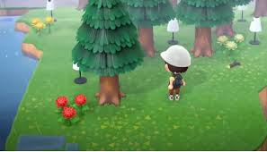 How To Move Rocks In Animal Crossing
