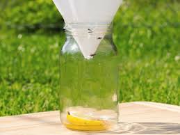 natural and homemade fly repellents