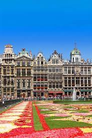 brussels flower carpet ultimate guide