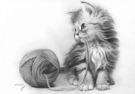 Tumblr cute drawings cool cat drawing blog animals zentangle. Kitten Cute Baby Cat Drawing Novocom Top