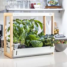 Best Indoor Growing Systems For Growing