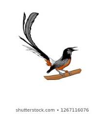 Murai batu (mb) adalah salah satu jenis burung kicau yang semakin hari semakin banyak penggemarnya. Magpie Stone Logo Stock Vector Royalty Free 1267116076 Vozeli Com